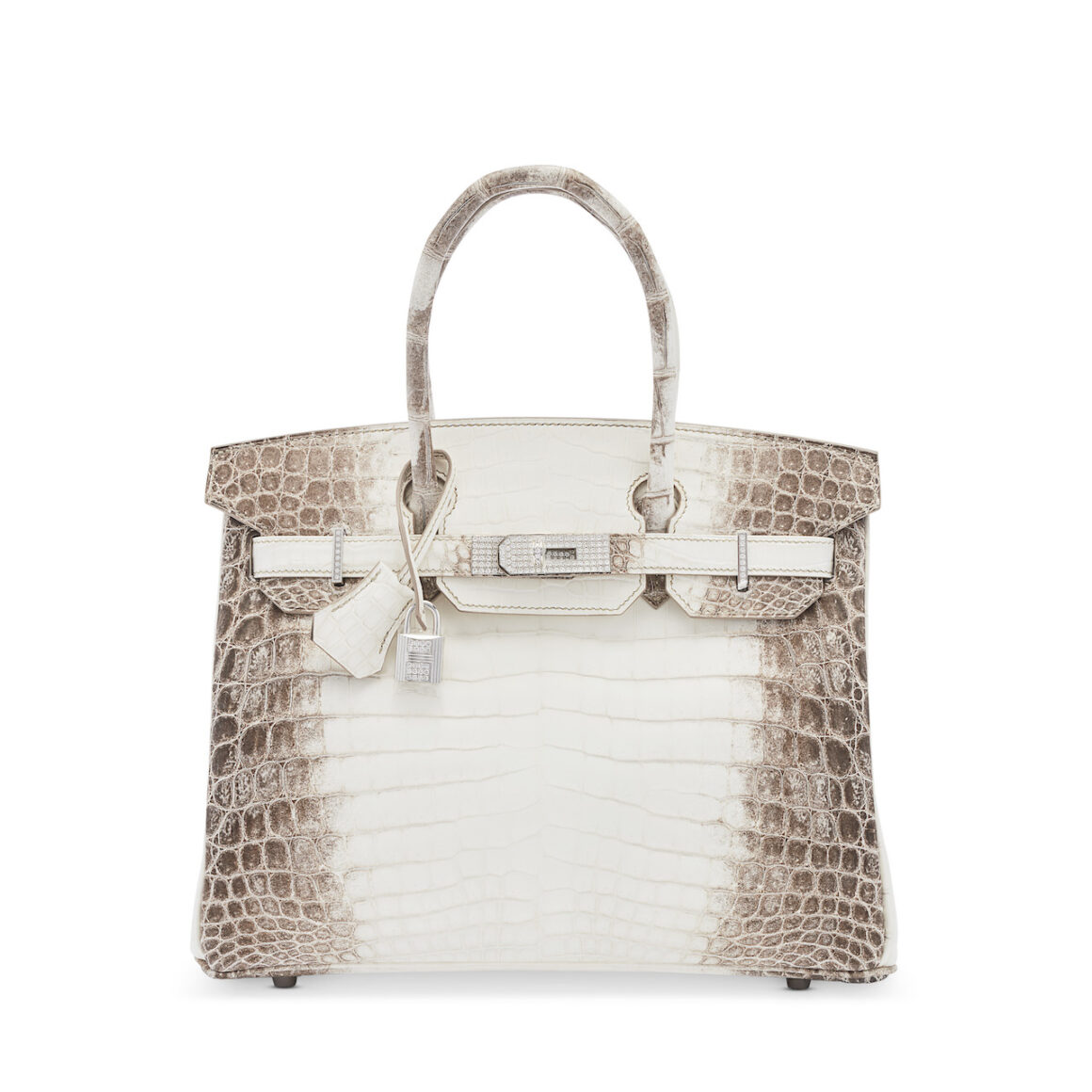 Top 5 Rare Bags by Chic Icon - The Chic Icon