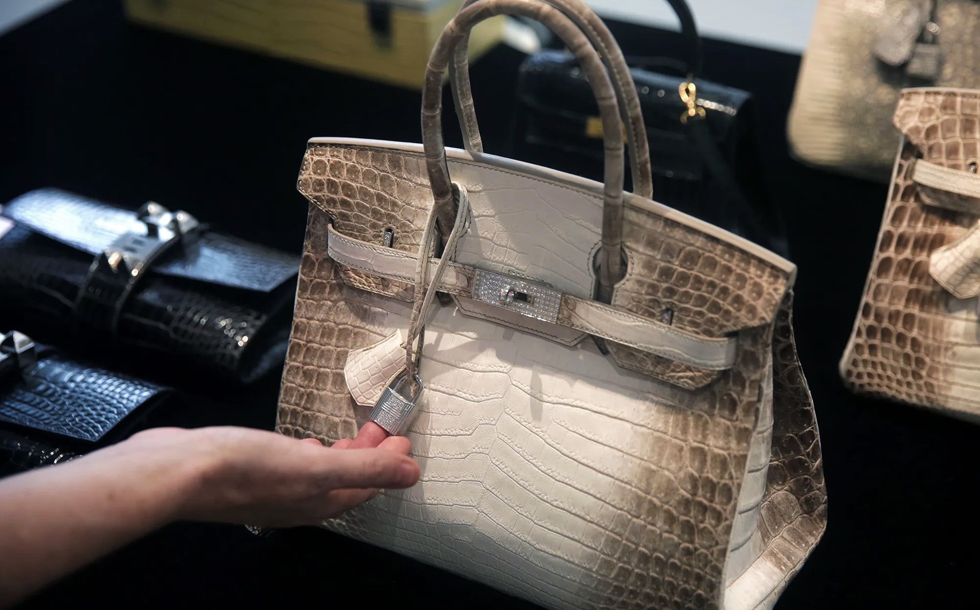 The Rarity And Exclusivity Of The Iconic Hermes Himalayan Birkin