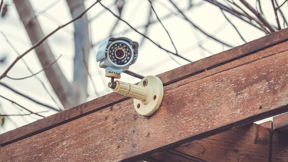 Is CCTV at Home Worth It? The Chic Icon